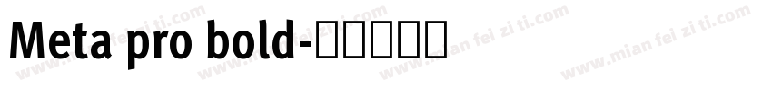 Meta pro bold字体转换